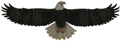 eagles protect us
